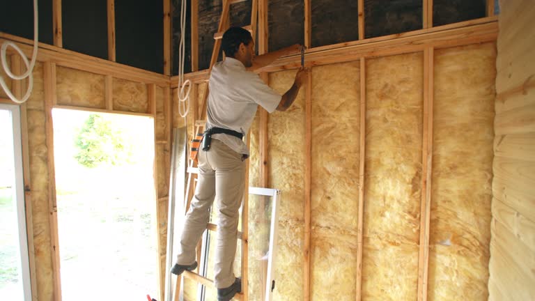 Types of Insulation We Offer in Elverta, CA